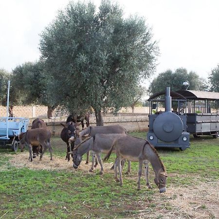 Masseria Grande Taurisano ภายนอก รูปภาพ