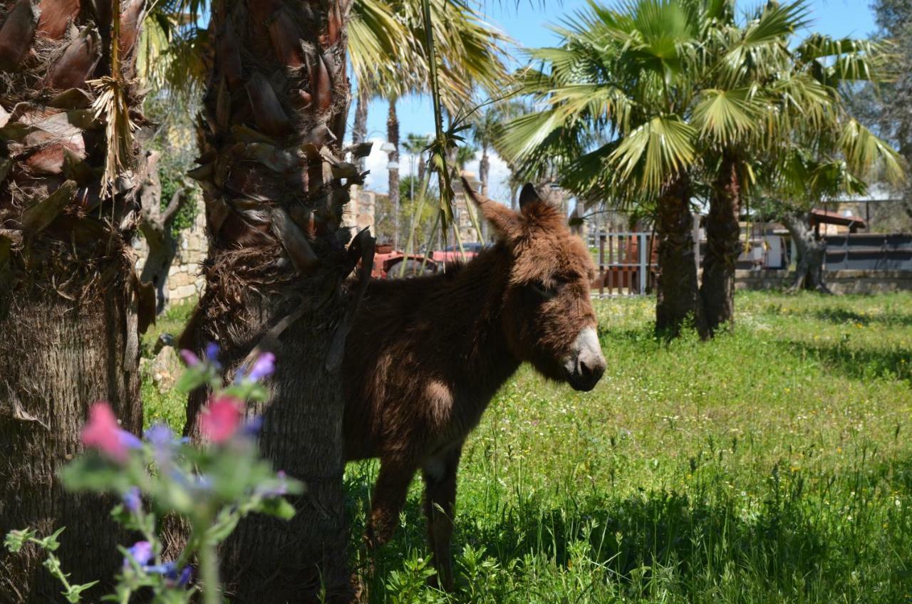 Masseria Grande Taurisano ภายนอก รูปภาพ